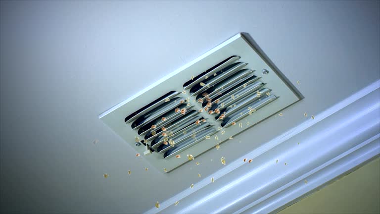 Best Affordable HVAC Duct Cleaning  in Wiggins, CO