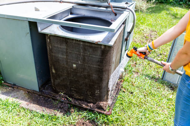 Best Local Air Duct Cleaning Services  in Wiggins, CO