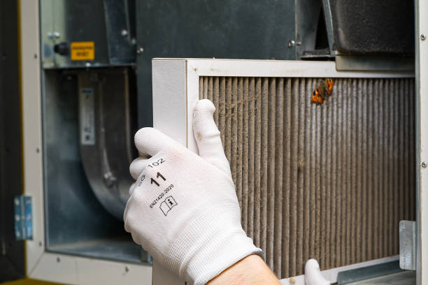 Best Professional Duct Cleaning Services  in Wiggins, CO