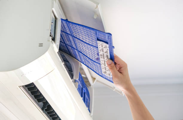 Best Air Duct Sanitizing Services  in Wiggins, CO
