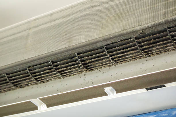 Best Air Duct Cleaning Near Me  in Wiggins, CO