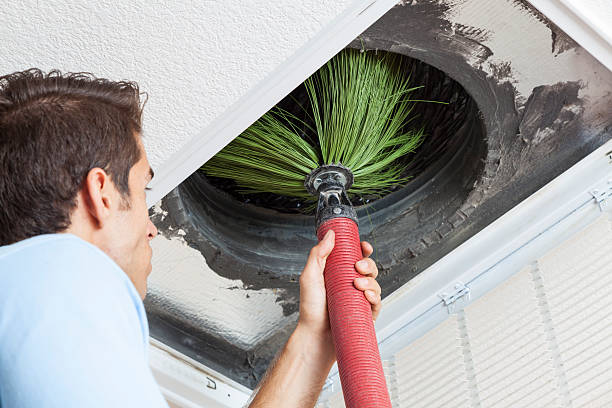 Best Commercial Air Duct Cleaning  in Wiggins, CO